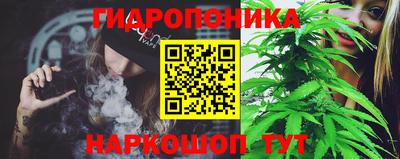 крисы Рузаевка