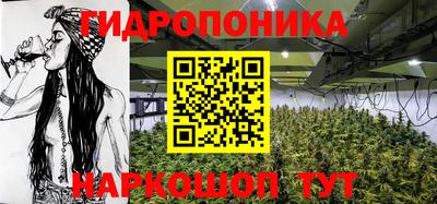 крисы Рузаевка