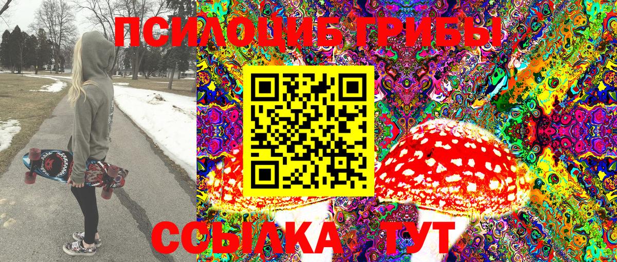 Галлюциногенные грибы Cubensis Псков