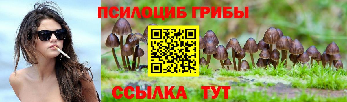 где найти   Вход с VPN  Псков  Галлюциногенные грибы Psilocybe 